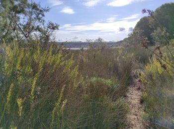 Tocht Stappen Sassari - Lago Di baratz - Photo