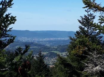 Randonnée Marche Wisembach - Col de Ste Marie-Chaume de Lusse - Photo