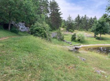 Tour Nordic Walking Massegros Causses Gorges - Point sublime et tour du Causse de Sauveterre - Photo