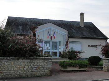 Percorso A piedi Parcé-sur-Sarthe - Circuit du Bois du l'Hommeau - Photo