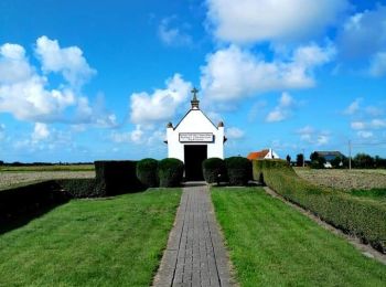 Excursión Senderismo Blankenberge - Promenade dans les Polders - Photo