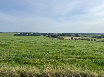 Tour Wandern Bertogne - 40.069 Renuamont - Givroulle - Photo