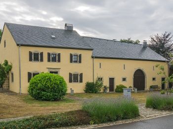 Tour Zu Fuß Consdorf - C4 Hiking Tour - Photo