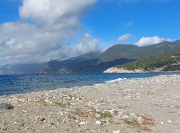 Randonnée Marche Patrimonio - sentier du littoral de St Florent à Punta di Saeta - Photo