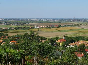 Trail On foot Győrújbarát - K■ Győrújbarát - Photo