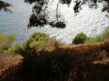 Tocht Stappen Salobreña - Depuis l'hotel Salobrena, Costa Aguilera, El pargo et  Salobreña  - Photo