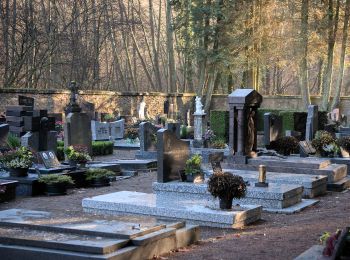 Randonnée A pied Haucourt-Moulaine - Sentier du Beau Chêne - Photo