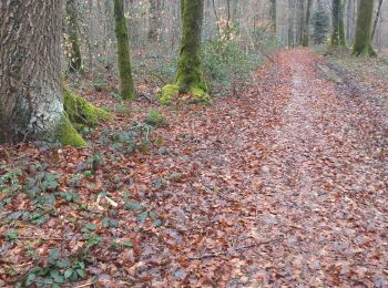 Excursión Senderismo Sorans-lès-Breurey - Sorans les Breurey - Photo