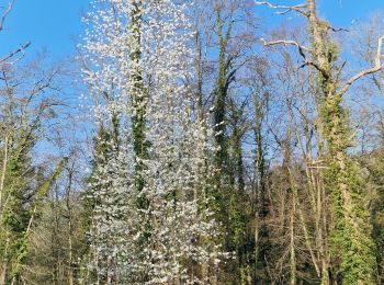 Trail Walking Amenucourt - Amenucourt - La Roce-Guyon - Photo