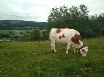 Randonnée Marche Péseux - Péseux 18 juin 2019 CAF - Photo