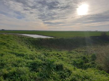 Tocht Stappen Les Moutiers-en-Retz - Marais de Bouin et Polder de la Coupelasse - Photo