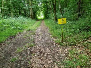 Excursión Bici de montaña Vouthon-Haut - Les Chemins d'Isabelle P1 25 Km - Photo