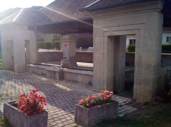 Trail Walking Marchaux-Chaudefontaine - Chaudfontaine 23-08-2020 - Photo