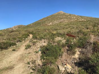 Tocht Stappen Olmeta-di-Tuda - Sentier non ornithologique chassé  - Photo