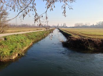 Trail On foot Vigevano - Gran Giro della Sforzesca - Photo