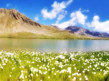 Randonnée Marche Freissinières - Lac de Palluel, Faravel et Fangeas Via Dormillouse - Photo