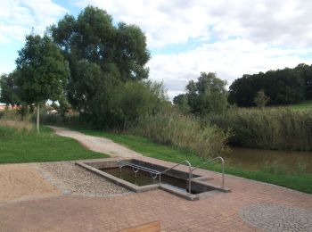 Tour Zu Fuß Burghaslach - Sagen-Weg Burghaslach - Photo