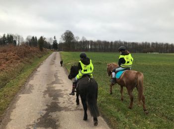 Tour Reiten Fougerolles-Saint-Valbert - Sarcenot 1h30 à pied ou 1h à poney  - Photo