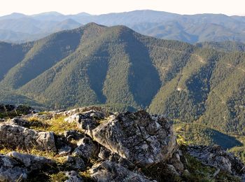 Excursión A pie Gemeinde Pernitz - Pernitz Bhf - Neusiedl - Gauermann Hütte - Photo