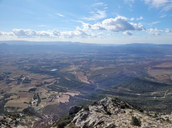 Excursión Senderismo Vauvenargues - le pic des mouches et la citadelle - Photo