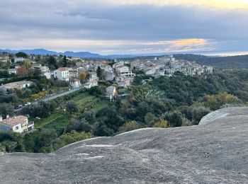 Tour Wandern Tourrettes-sur-Loup - Tourrettes : Pic et Puys déc 2024 - Photo