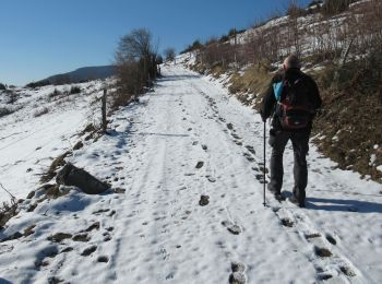 Tour Wandern Linthal - Obersengern AN Petit Ballon - Photo