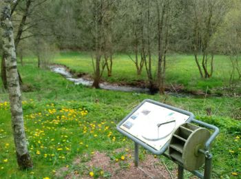 Randonnée Marche Bullange - wassererlebnispfad - Photo