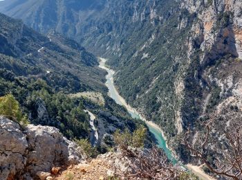 Tocht Stappen Moustiers-Sainte-Marie - Plein Voir  - Photo