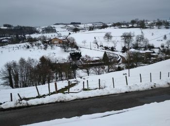 Tocht Stappen Brion - COL DE TOUTES AURES - Photo