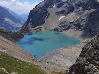 Tocht Stappen Vallouise-Pelvoux - Lac de l'Eychauda en boucle - Photo