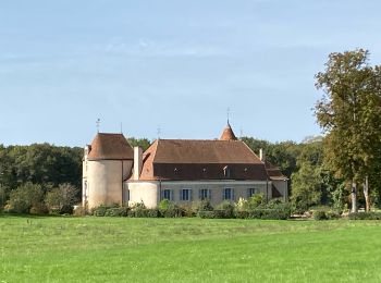 Trail sport Argenton-sur-Creuse - Sob 17 argenton le menoux - Photo