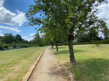 Tour Wandern Enghien - Enghien Steenkerke 25 km - Photo