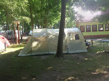 Tocht Te voet Schwielowsee - Pirschheide - Baumgartenbrück - Photo