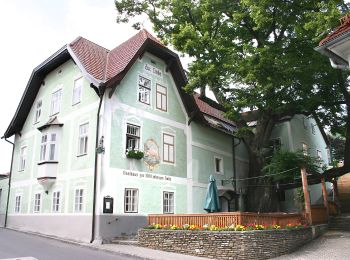 Tocht Te voet Gemeinde Kirchberg am Wechsel - Wanderweg Saurücken - Photo