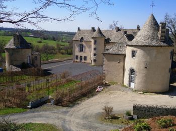 Excursión Senderismo Saint-Bonnet-près-Orcival - Les Rives de la Sioule  - Photo