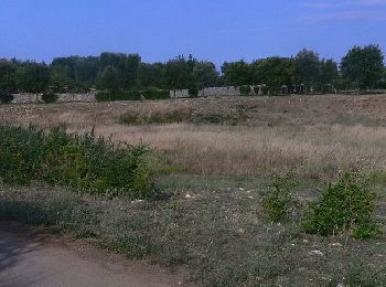 Trail On foot Grottaglie - (SI R01) Grottaglie - Contrada Ulmo (Ceglie Messapica) - Photo