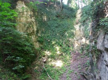 Randonnée Marche Riemst - montagne saint Pierre sud par les petits chemins - Photo