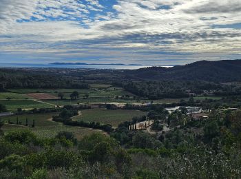 Trail Walking La Londe-les-Maures - Dolmen de Gaoutabry et balade dans les Maures - Photo