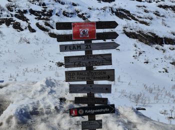 Tour Wandern  - MYRDAL  - Photo