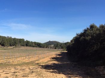 Tour Wandern Chusclan - PF-Chusclan - Dent de Marcoule et Château de Gicon - Photo