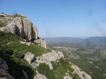 Trail On foot la Morera de Montsant - Brolles i vinyes. Scaladei - Photo