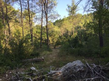 Excursión Senderismo La Roque-d'Anthéron - PF-La Roque-d'Anthéron - Vallon de la Baume - Roques Menoures - Photo