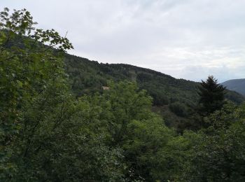 Randonnée Marche Sewen - lac d'Alfeld  - Photo