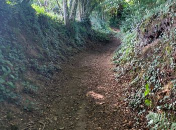 Randonnée Marche Saint-Pois - Tours de la vallée de la sée - Photo