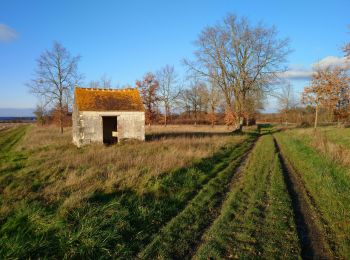 Tour Wandern Saint-Georges-sur-Cher - Saint-Georges-sur-Cher - les Magasins Montfourgon le Moulin du Porteau - 10km 110m 2h25 - 2021 01 02 - Photo