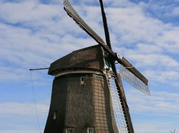 Percorso A piedi Wormerland - Rondwandeling Wijde Wormer - Photo