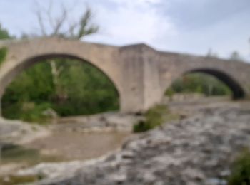 Randonnée Marche Mane - MANE  , pont romain  , chapelle S Jean et chapelle Châteauneuf  o l s  - Photo