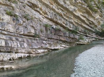 Excursión Senderismo Barret-sur-Méouge - 05 gorges meouge 03.08.23. semi aquatique un - Photo