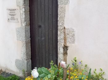 Tour Wandern Montaigu-Vendée - Montaigu  -  Pont Lege - Photo