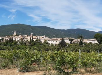 Trail Walking Cadenet - Cadenet Lourmarin en boucle - Photo